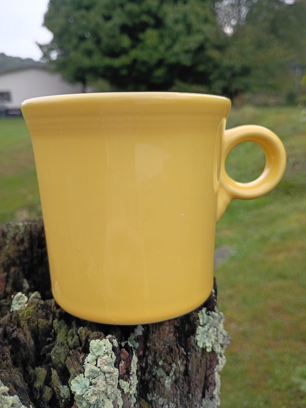 Homer Laughlin Fiestaware Daffodil Yellow Mug O Ring Handle HLC USA